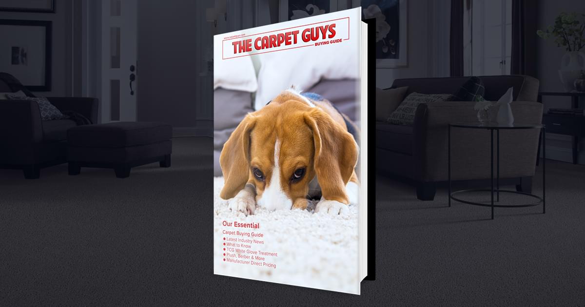 The Carpet Guys Carpet Buying Guide